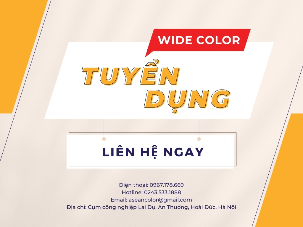 tuyển dụng wide